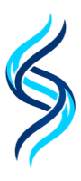 San-G Systems